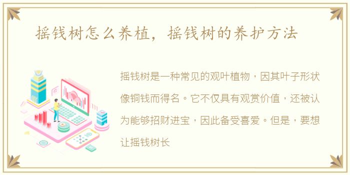 摇钱树怎么养植，摇钱树的养护方法