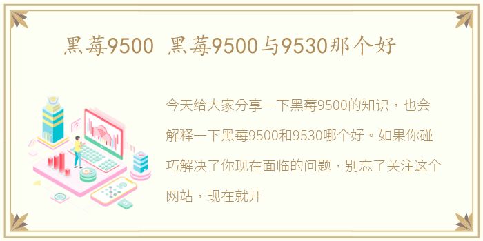黑莓9500 黑莓9500与9530那个好