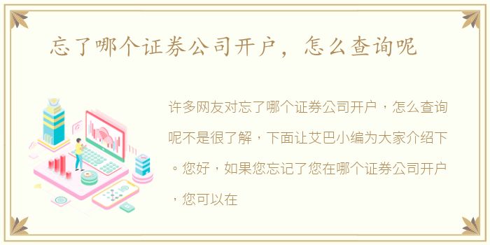 忘了哪个证券公司开户，怎么查询呢