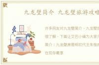 九龙壁简介 九龙壁旅游攻略