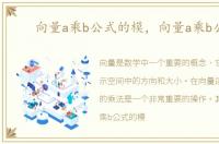 向量a乘b公式的模，向量a乘b公式
