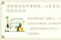 博物馆青岛市博物馆，山东省青岛市博物馆景点介绍