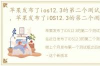 苹果发布了ios12.3的第二个测试版是什么，苹果发布了iOS12.3的第二个测试版