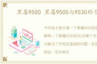 黑莓9500 黑莓9500与9530那个好