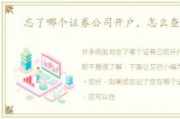 忘了哪个证券公司开户，怎么查询呢