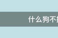 什么狗好养又不掉毛还智商高？ 不拆家不掉毛智商高的狗