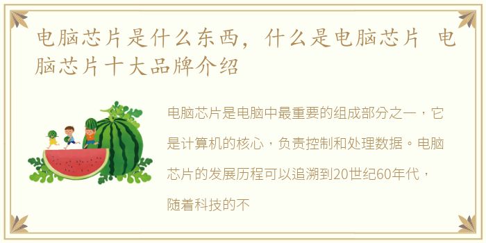 电脑芯片是什么东西，什么是电脑芯片 电脑芯片十大品牌介绍