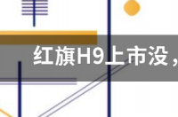 红旗H9售价多少？ h9红旗价格