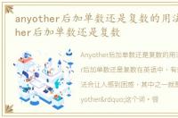 anyother后加单数还是复数的用法，anyother后加单数还是复数