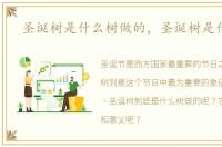 圣诞树是什么树做的，圣诞树是什么树