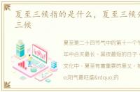 夏至三候指的是什么，夏至三候分别为哪三候