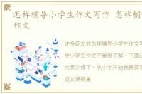 怎样辅导小学生作文写作 怎样辅导小学生作文