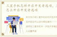 三星手机怎样开启开发者选项，三星手机怎么开启开发者选项