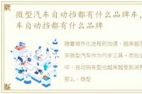 微型汽车自动挡都有什么品牌车，微型汽车自动挡都有什么品牌