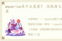 aquarius是什么星座？ 宝瓶座又是什么星座