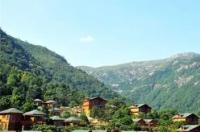 平湖九龙山风景区怎么样？ 九龙山风景区
