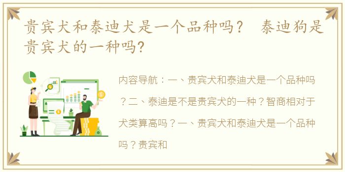 贵宾犬和泰迪犬是一个品种吗？ 泰迪狗是贵宾犬的一种吗?