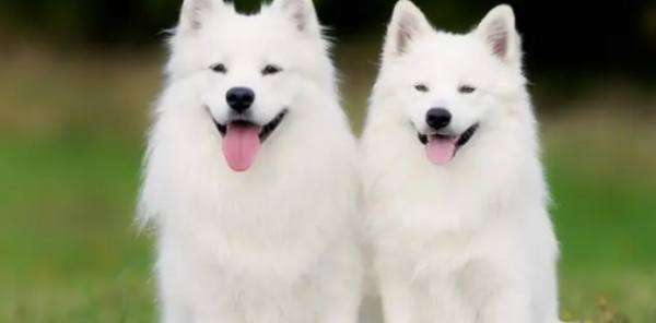t013a80bb5030767ca6.png