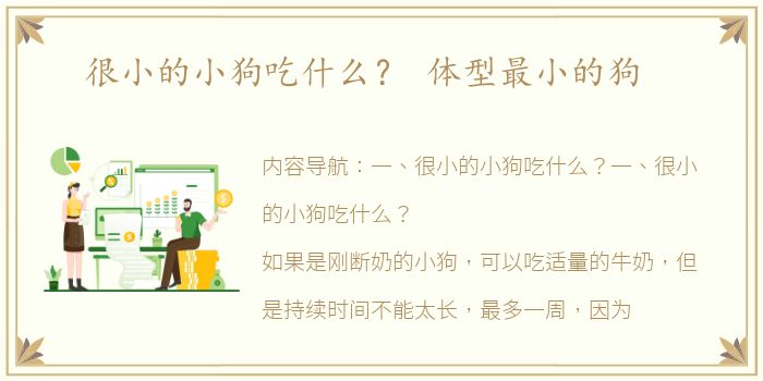 很小的小狗吃什么？ 体型最小的狗