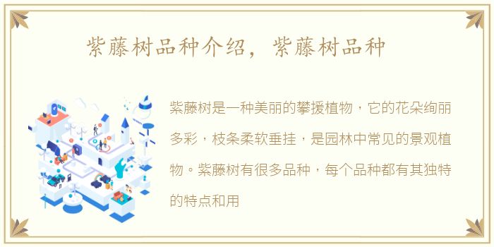 紫藤树品种介绍，紫藤树品种