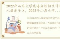 2022年山东大学威海分校招生计划及招生人数是多少，2022年山东大学威海分校招生计划及招生人数