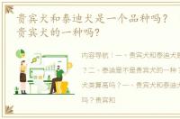 贵宾犬和泰迪犬是一个品种吗？ 泰迪狗是贵宾犬的一种吗?