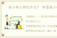 很小的小狗吃什么？ 体型最小的狗