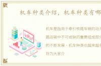机车种类介绍，机车种类有哪些