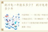 剃刀龟一年能长多少？ 剃刀龟寿命一般有多少年