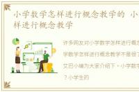 小学数学怎样进行概念教学的 小学数学怎样进行概念教学
