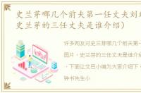 史兰芽哪几个前夫第一任丈夫刘斌图片（史兰芽的三任丈夫是谁介绍）