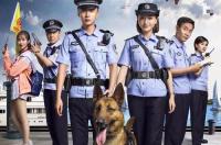 警犬来了。英文大写字母？ 警犬来了免费观看完整版在线观看