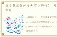 天空蓝魔鳌虾多大可以繁殖？ 天空蓝魔虾繁殖