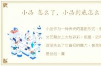 小品 怎么了，小品到底怎么了