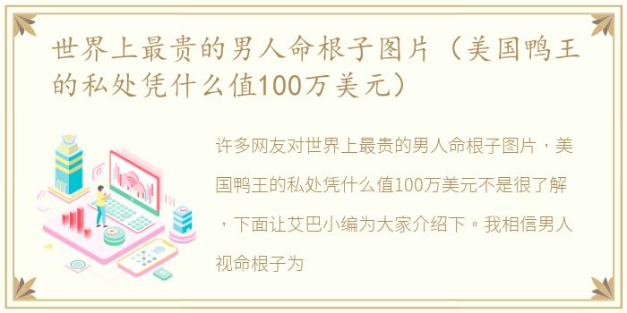 世界上最贵的男人命根子图片（美国鸭王的私处凭什么值100万美元）