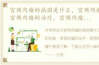 宫颈肉瘤的病因是什么，宫颈肉瘤的检查，宫颈肉瘤的治疗，宫颈肉瘤的食疗保健