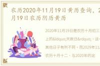 农历2020年11月19日黄历查询，2029年11月19日农历阴历黄历