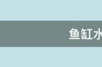水草的种类？如何养殖水草？ 鱼缸水草种类图谱