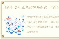 it是什么行业包括哪些知识 IT是什么行业