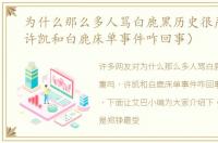 为什么那么多人骂白鹿黑历史很严重吗（许凯和白鹿床单事件咋回事）