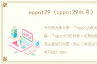 oppot29（oppot29机身）