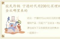 股民炸锅 宁德时代用230亿买理财 这笔资金从哪里来的