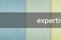 expertise可数吗 expertise
