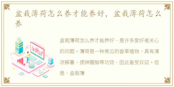 盆栽薄荷怎么养才能养好，盆栽薄荷怎么养