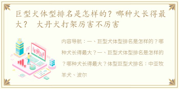 巨型犬体型排名是怎样的？哪种犬长得最大？ 大丹犬打架厉害不厉害