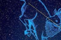 织女星属于什么星座，织女星位于哪个星座？ 女生天顶星座哪个最好