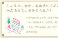 印尼章鱼人好渗人有眼睛还有胸部（被下锅煮还会发出诡异婴儿哭声）