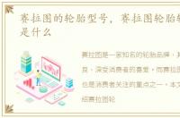 赛拉图的轮胎型号，赛拉图轮胎轮胎型号是什么