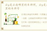云y是云南哪里的车牌照，云y是云南省哪里的车牌号