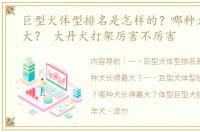 巨型犬体型排名是怎样的？哪种犬长得最大？ 大丹犬打架厉害不厉害